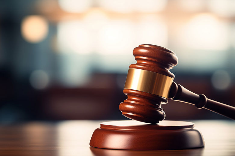    Александра Погиба/NEWS.ru