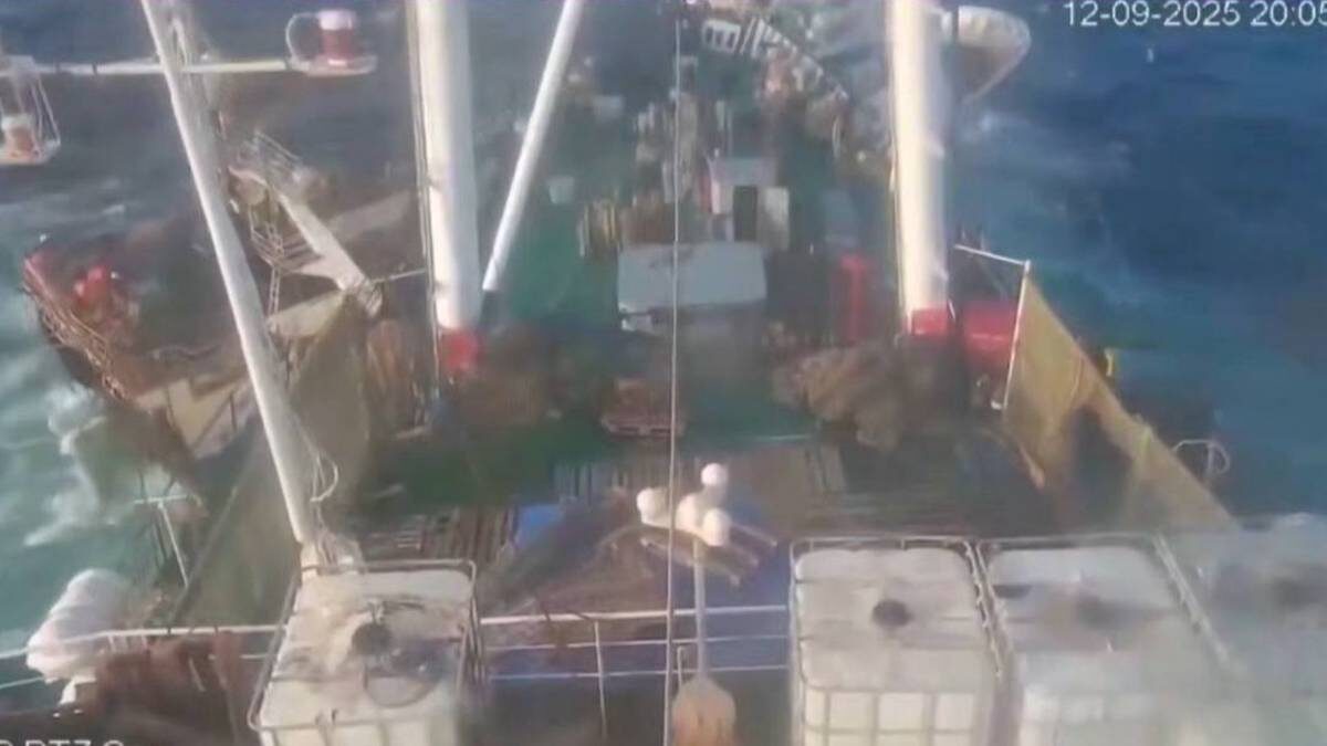    Фото: Скриншот с видео / Лента дня / Telegram