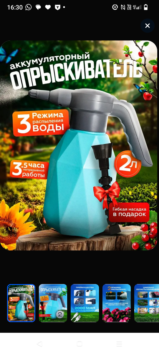 Фото из интернета.