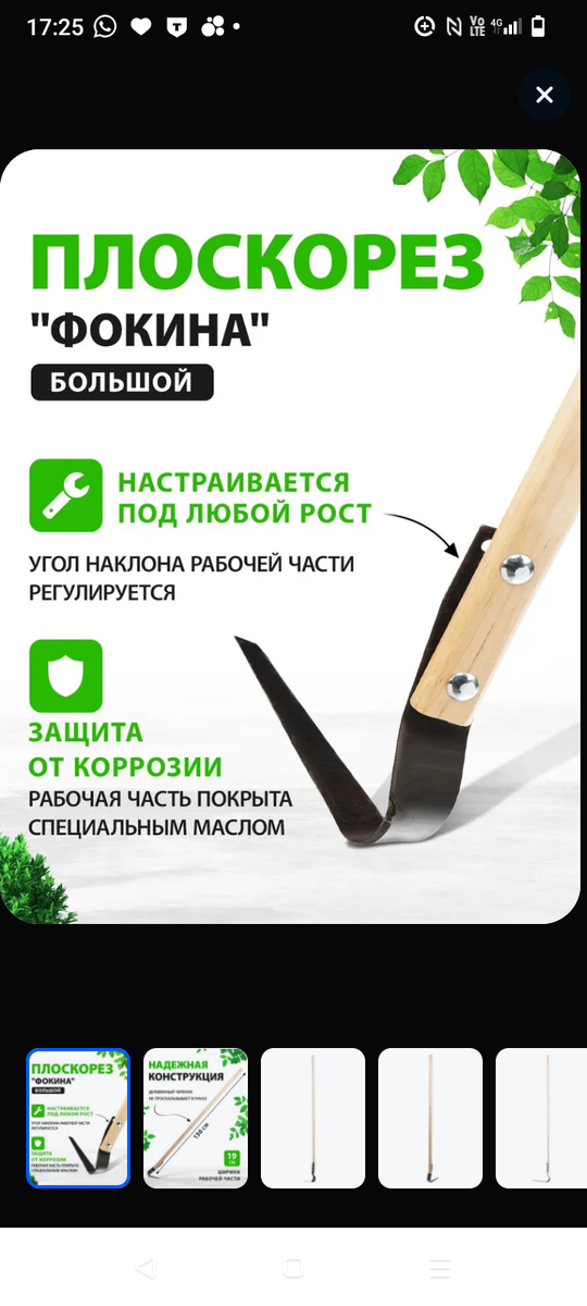 Фото из интернета.