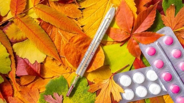    Фото: LariBat/Shutterstock/Fotodom