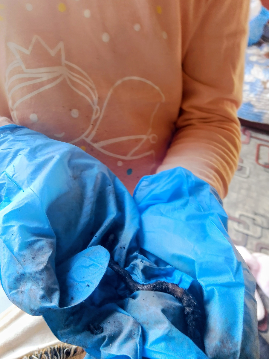 Фотография на память 