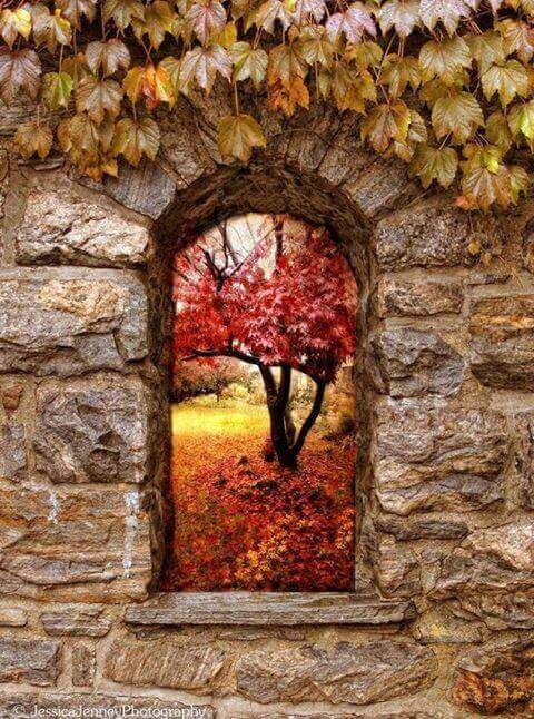 ОКНО В ОСЕНЬ.