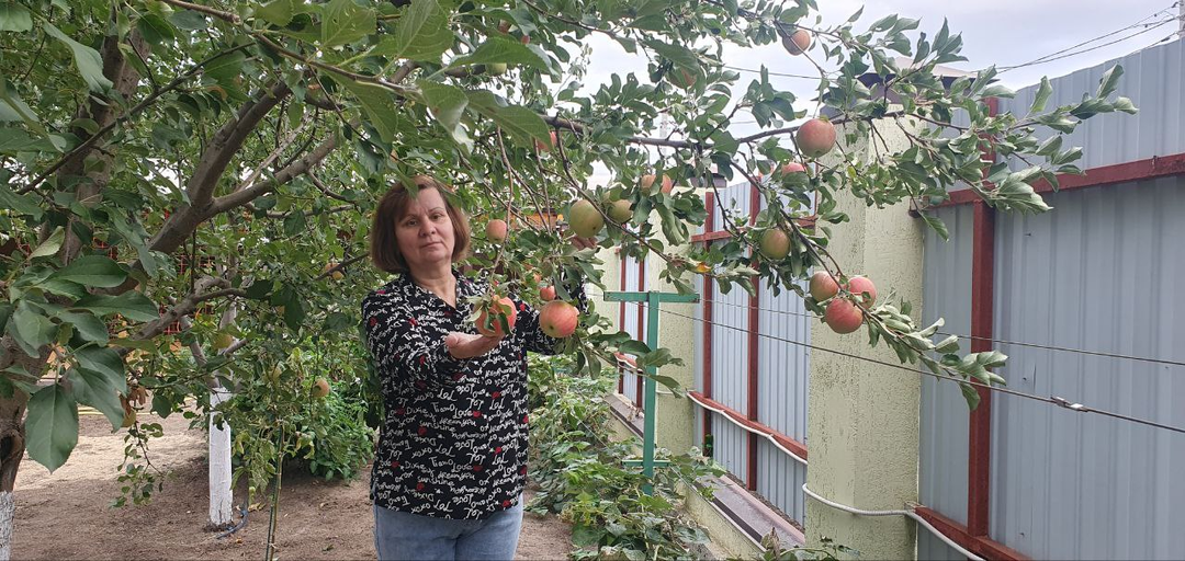 Осенняя обработка сада: почему я перестала верить в «бабушкины» методы и спасла урожай химией