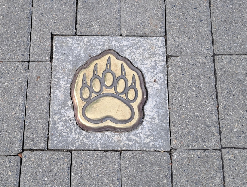 "Медвежий след" на ярославской улице