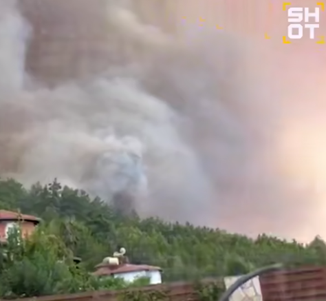    Скриншот видео: t.me/shot_shot/86904