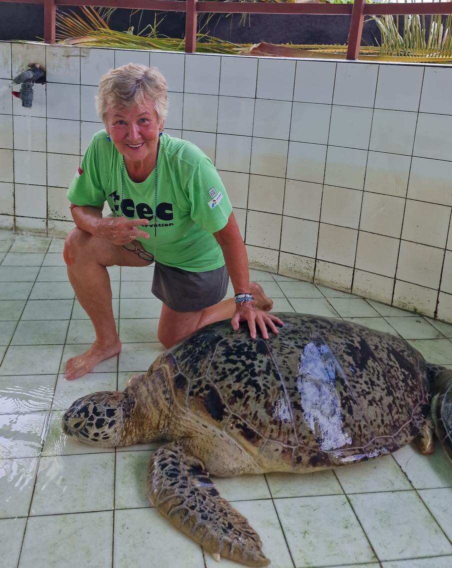 За годы волонтёрства Светлана встретила немало различных видов черепах. @из личного архива