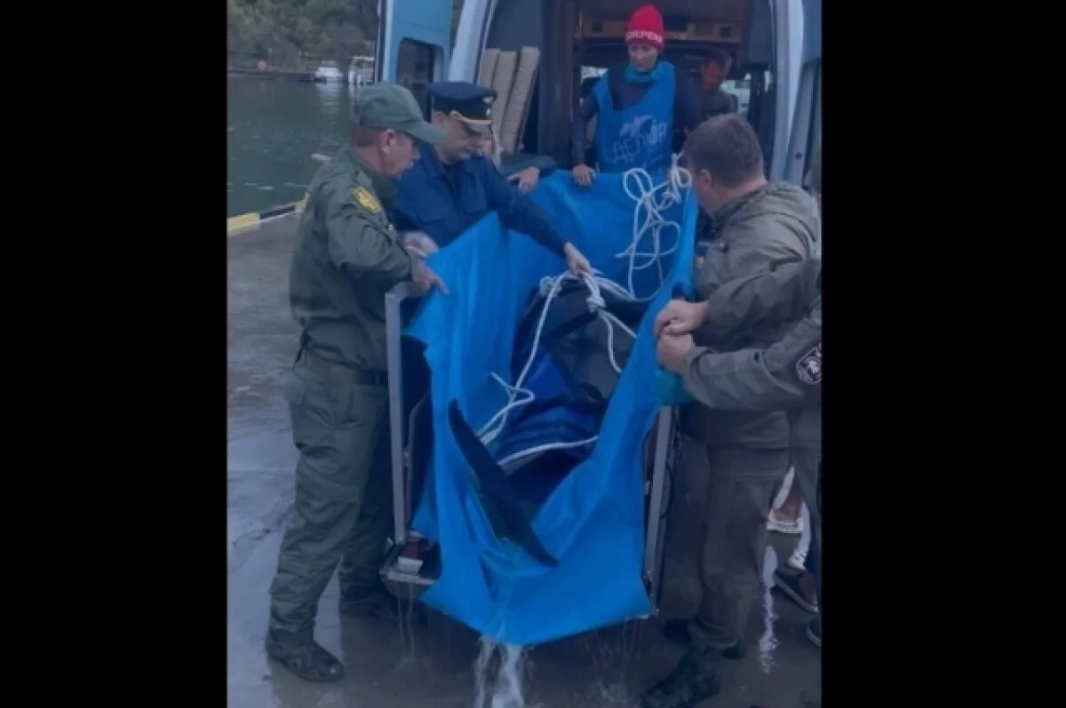    Добро пожаловать домой.