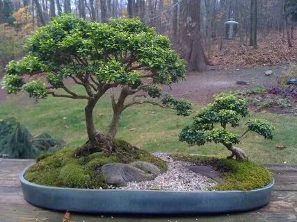 Фото из открытых источников Яндекс.