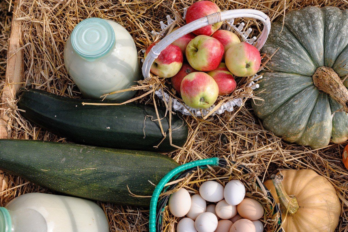 Фото администрации города Тамбова