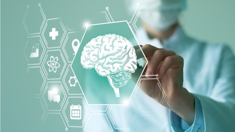     Здесь и далее фото ShutterStock/Fotodom.ru