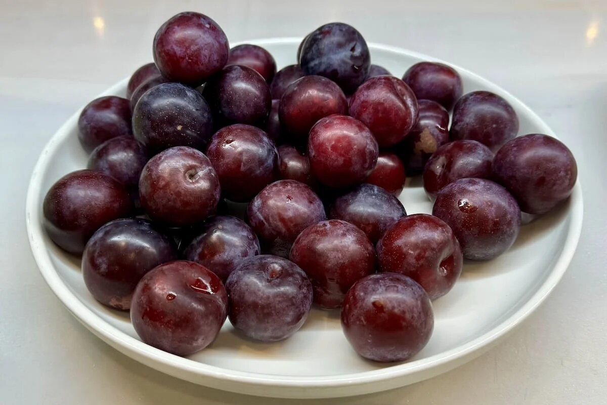 Фото: UfacityNews.ru