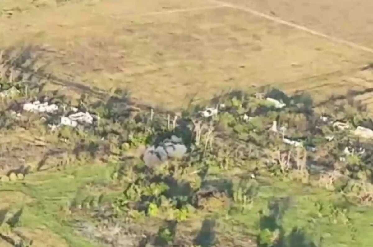    В ВСУ заявили о наступлении войск РФ на Липцы