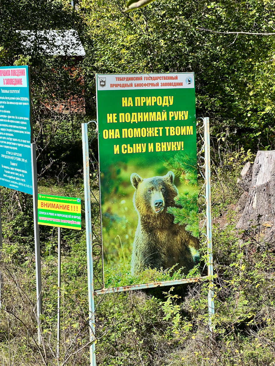 Какой звучный призыв!