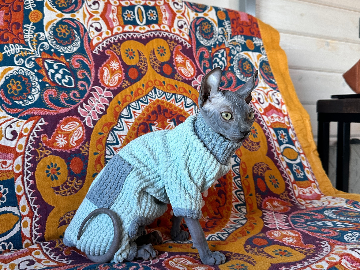 Это первый комбинезон Элизабет, уверенно в нем она себя почувствовала далеко не сразу