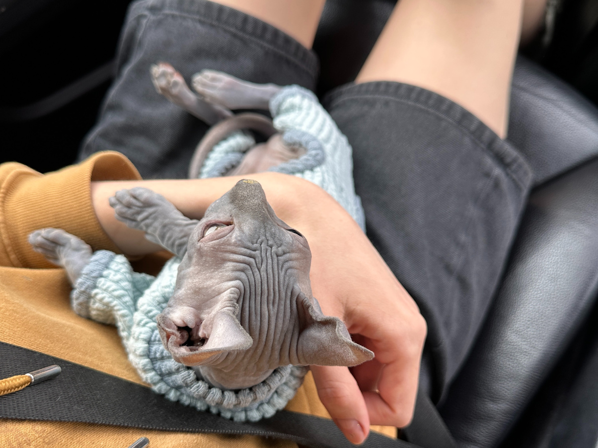 Путешественница Элизабет освоила костюмчики пока было тепло, чтобы не мерзнуть осенью