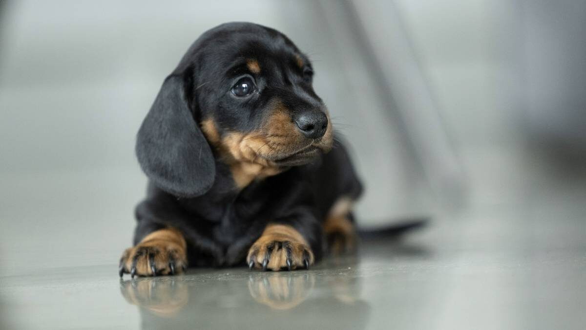    Фото: Shutterstock