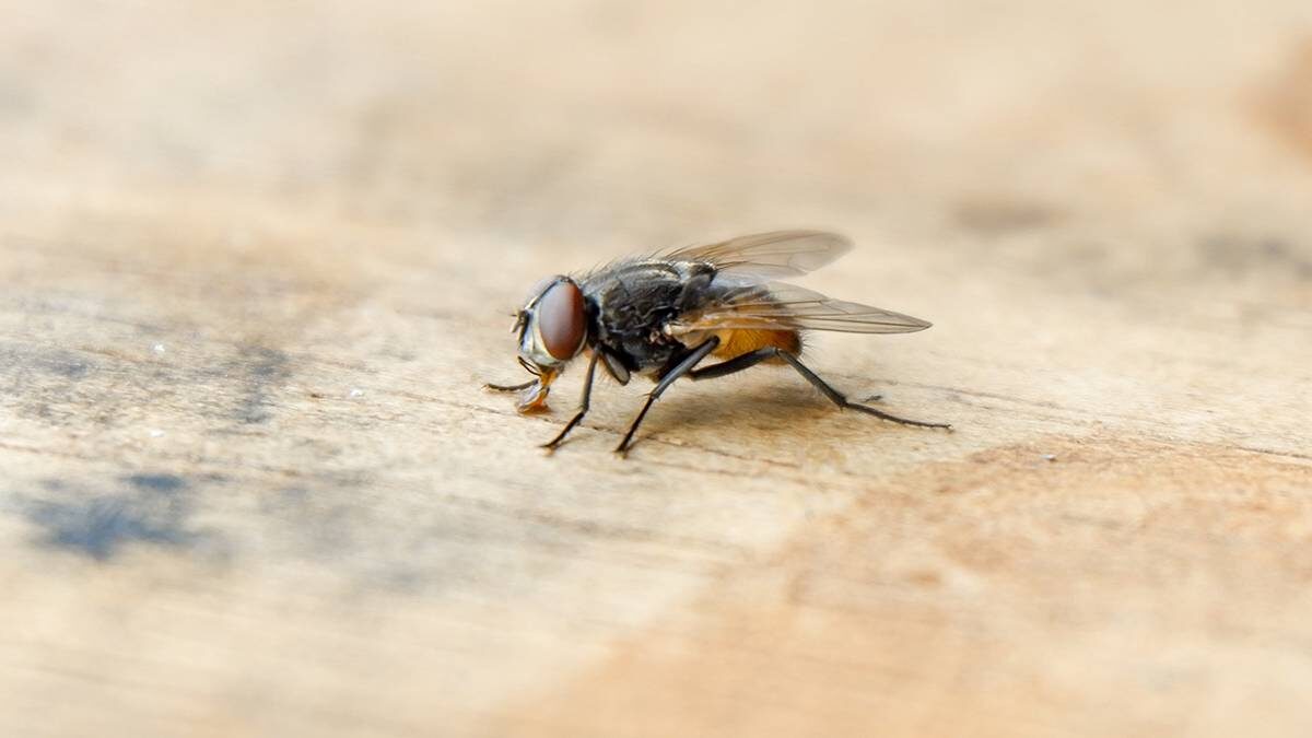    Фото: Shutterstock