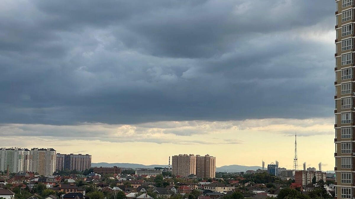    Фото: телеканал «Краснодар»