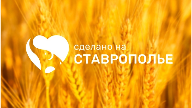      Фото: Минэкономразвития Ставрополья