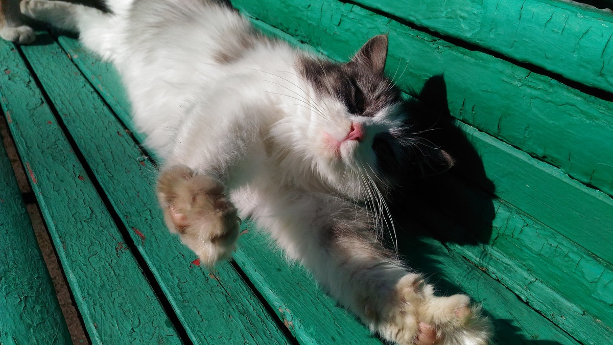    Фото: медиасток.рф