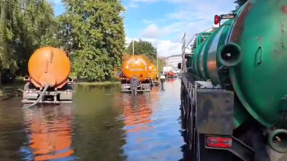    Фото: t.me/drozdenko_au_lo