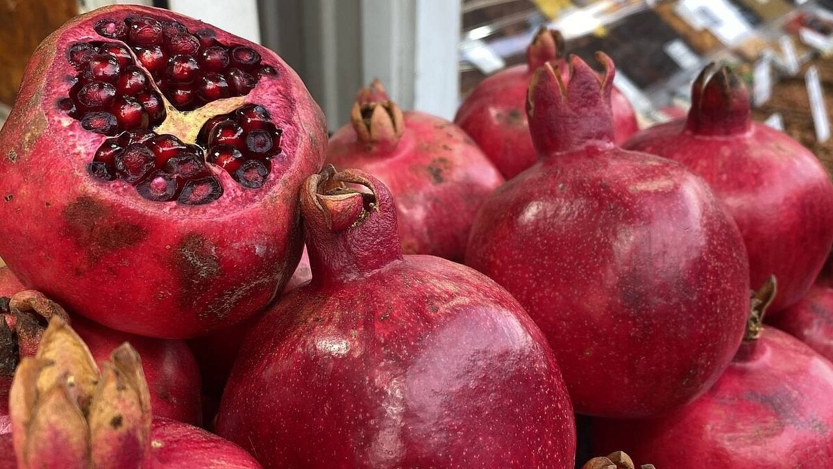    Фото: телеканал «Краснодар»