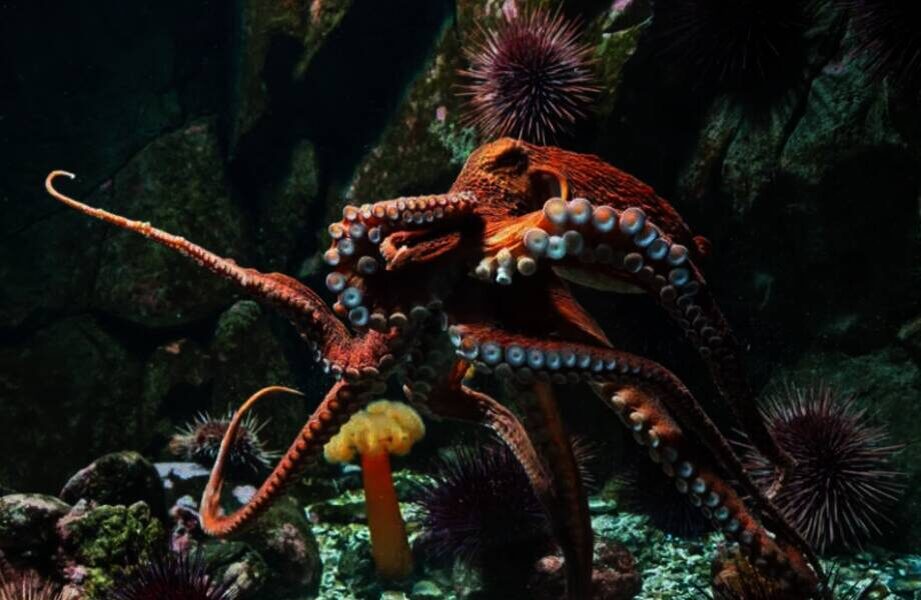    Фото: Depositphotos