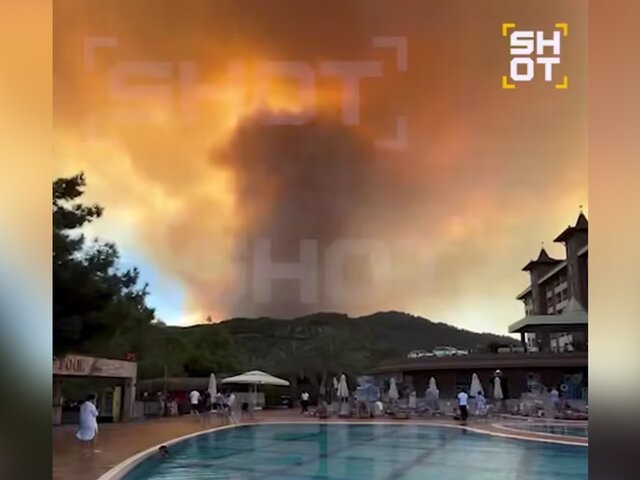    Фото: телеграм-канал SHOT