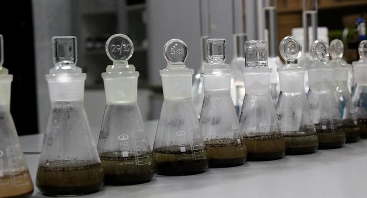    Фото: ФГБУ ЦОК АПК