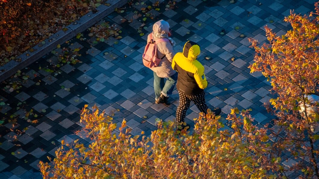    Фото: Svetlana Vozmilova/Globallookpress