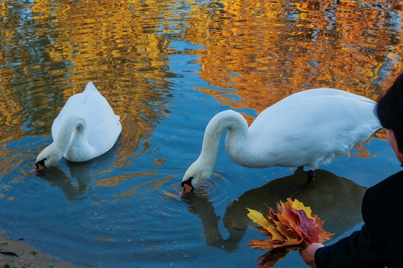    Фото: Roman Denisov/Globallookpress