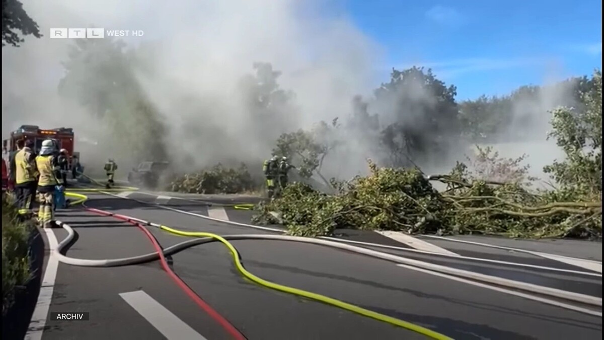    Кадр видео канала RTL WEST - das Nachrichtenmagazin für ganz NRW/www.youtube.com/watch?v=QLdOjDVkWX8