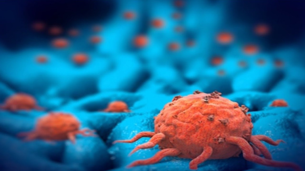    Как вирусолог Беата Халасси обошла медицину и выиграла войну с раком