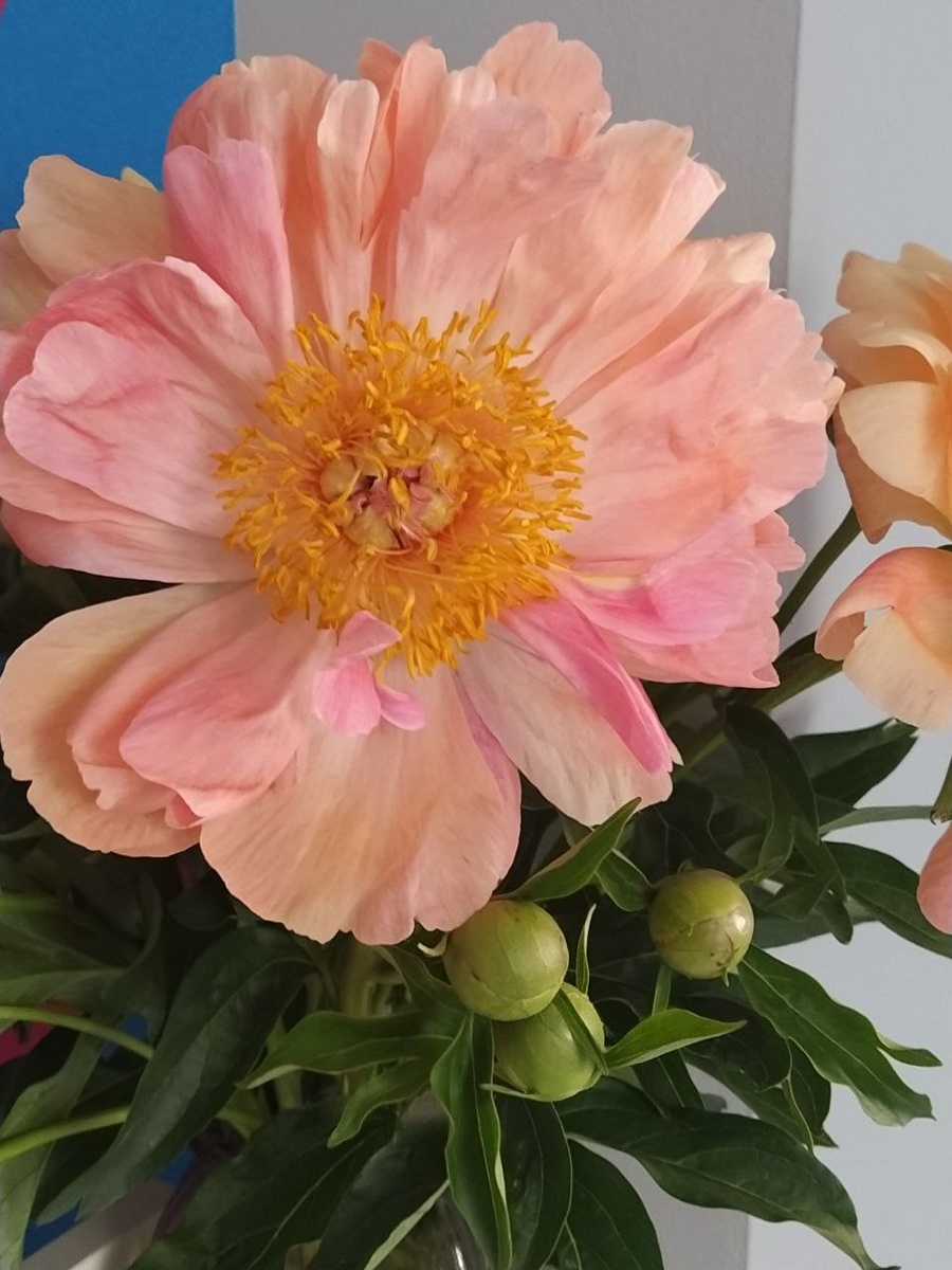 Немного лета... фото мое