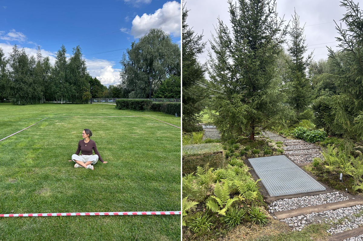 За 10 дней монтажа от пустого поля к настоящему лесу