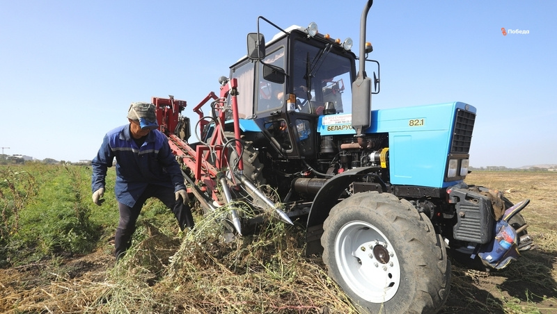      Фото: Дмитрий Ахмадуллин / / ИА «Победа26»