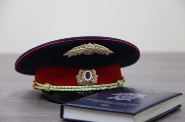 Иллюстрация: СК РФ