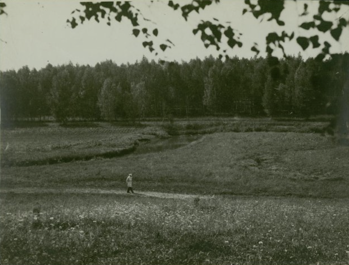 Л.Н. Толстой на прогулке, 1908 г.