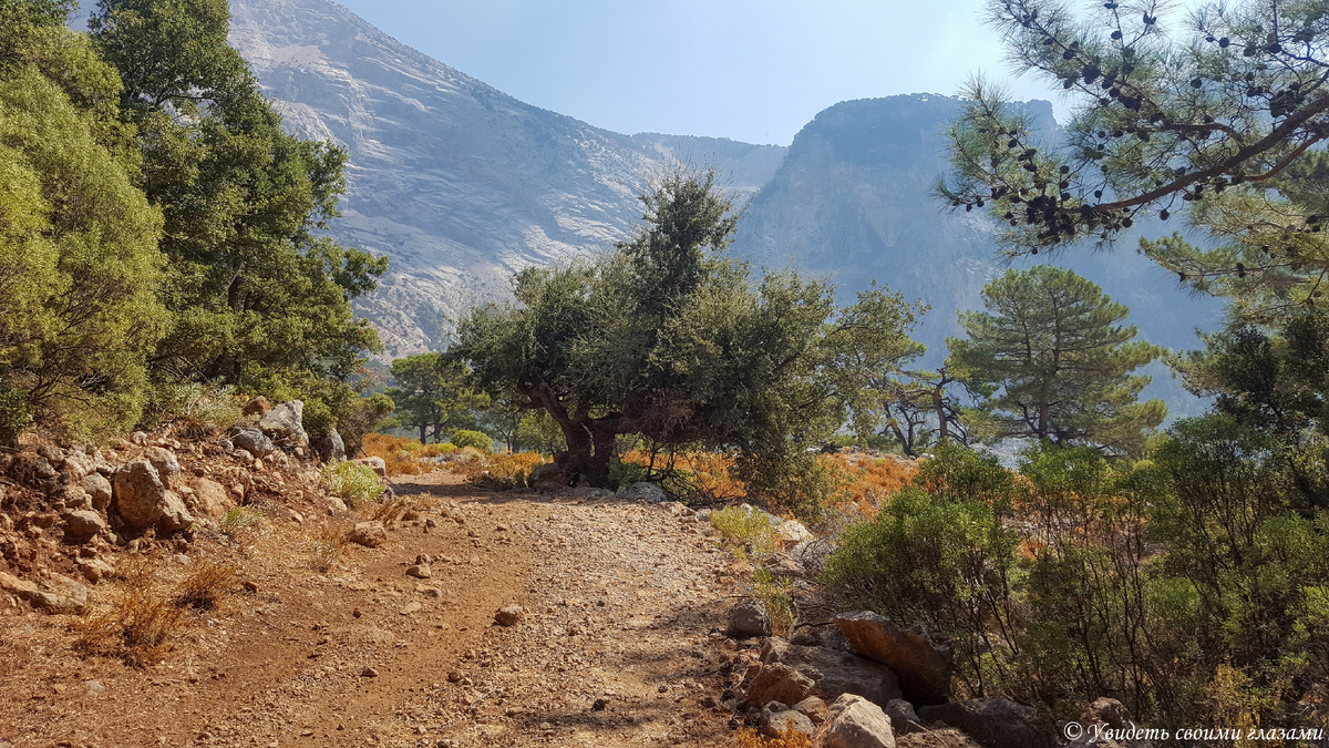 Ликийская тропа высоко в горах. Участок между Олюденизом и Фаралией