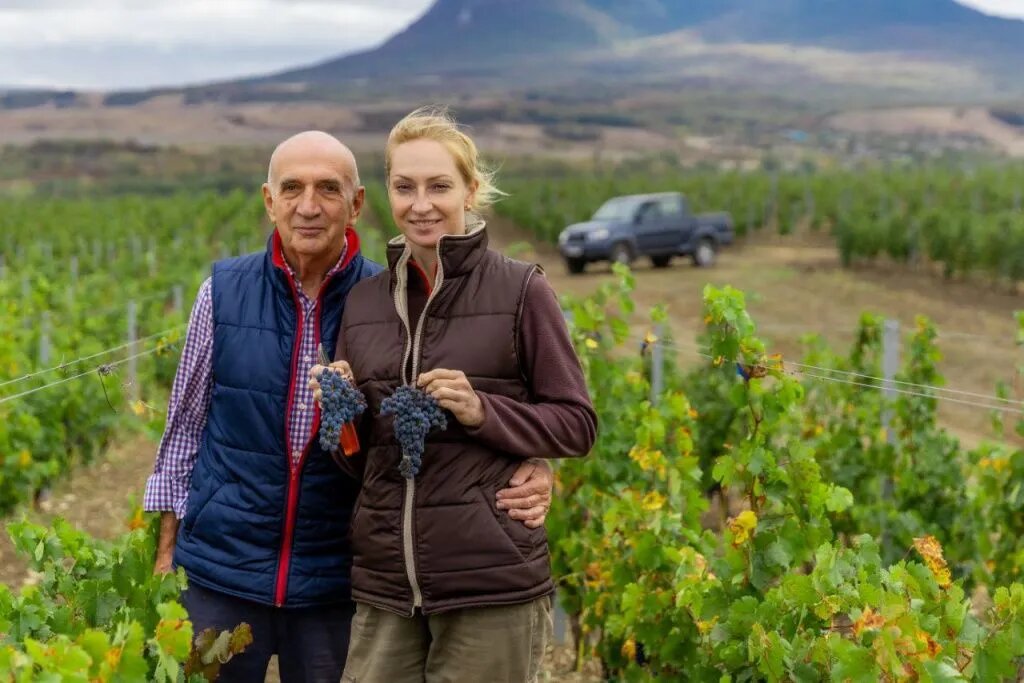 Основатели винодельни Tempelhof Winery Екатерина Козлакова и Фёдор Ештокин считают, что категорию «органик» дискредитировали недобросовестные производители // Фото предоставлено Екатериной Козлаковой. 