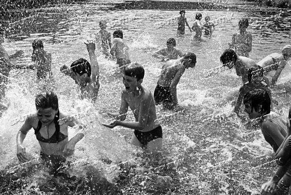 Фото с просторов всемирной паутины.