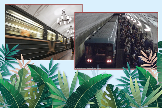 Не ходите дети в Африку гулять!