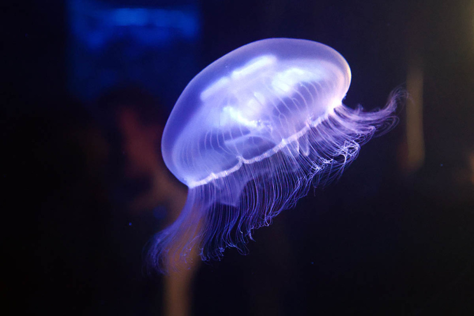    Алексей Белкин/NEWS.ru