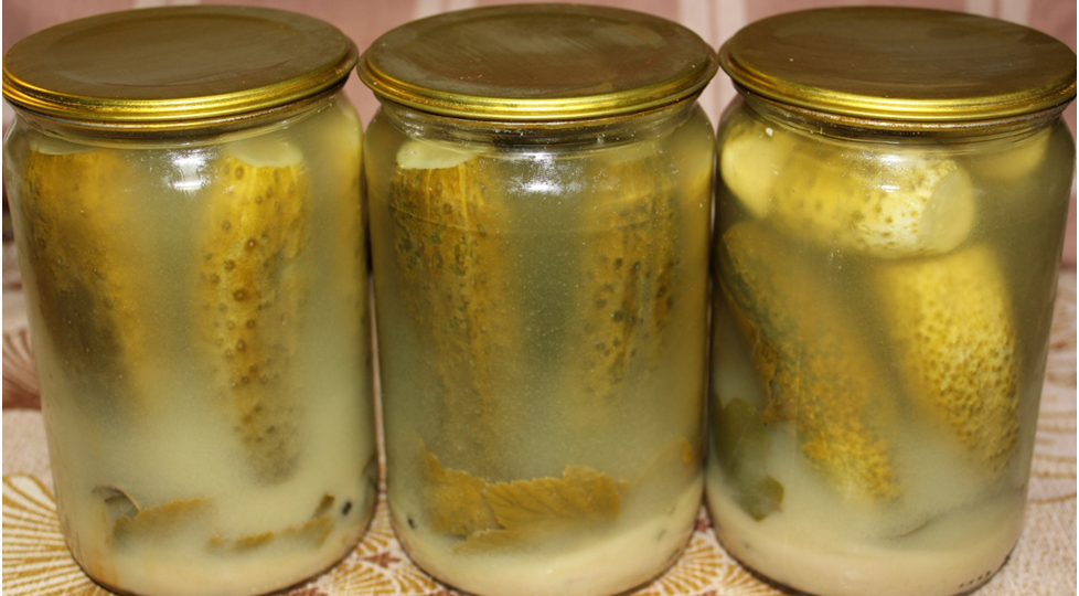 Солёные огурцы с горчичным порошком на зиму.