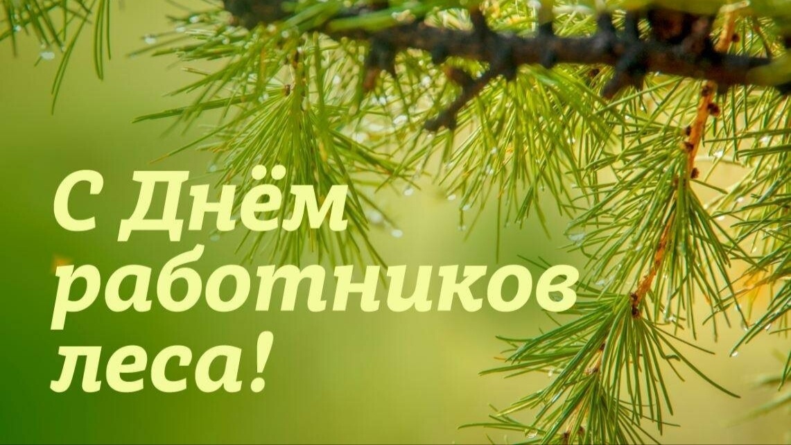 Картинка из интернета