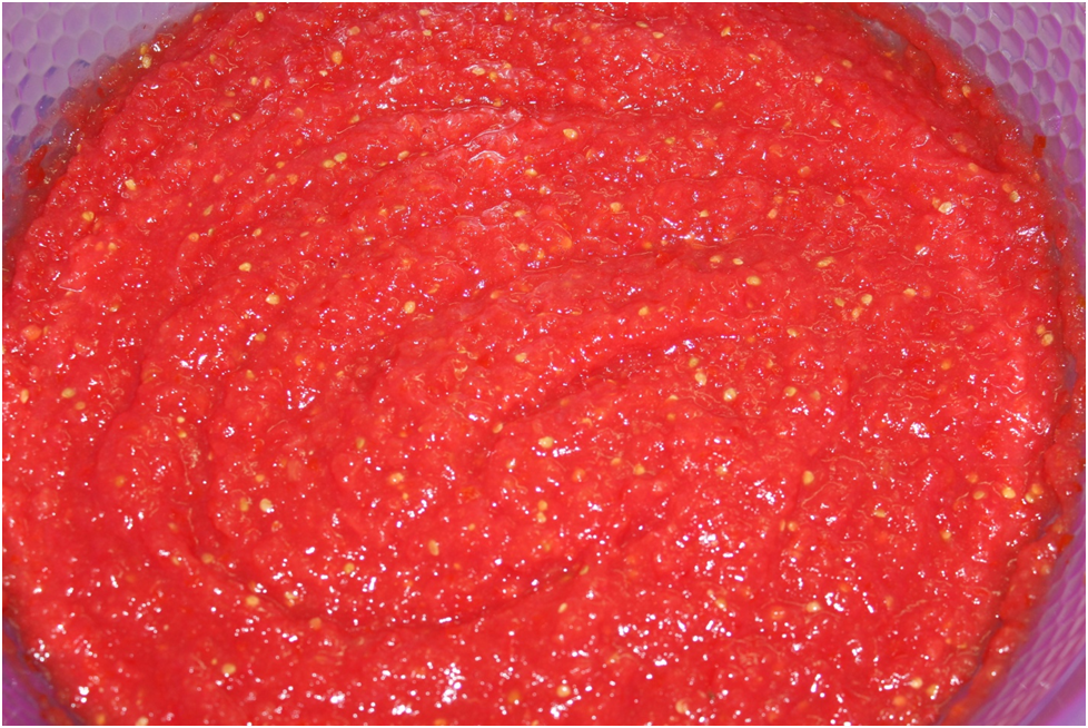 Личное фото автора.