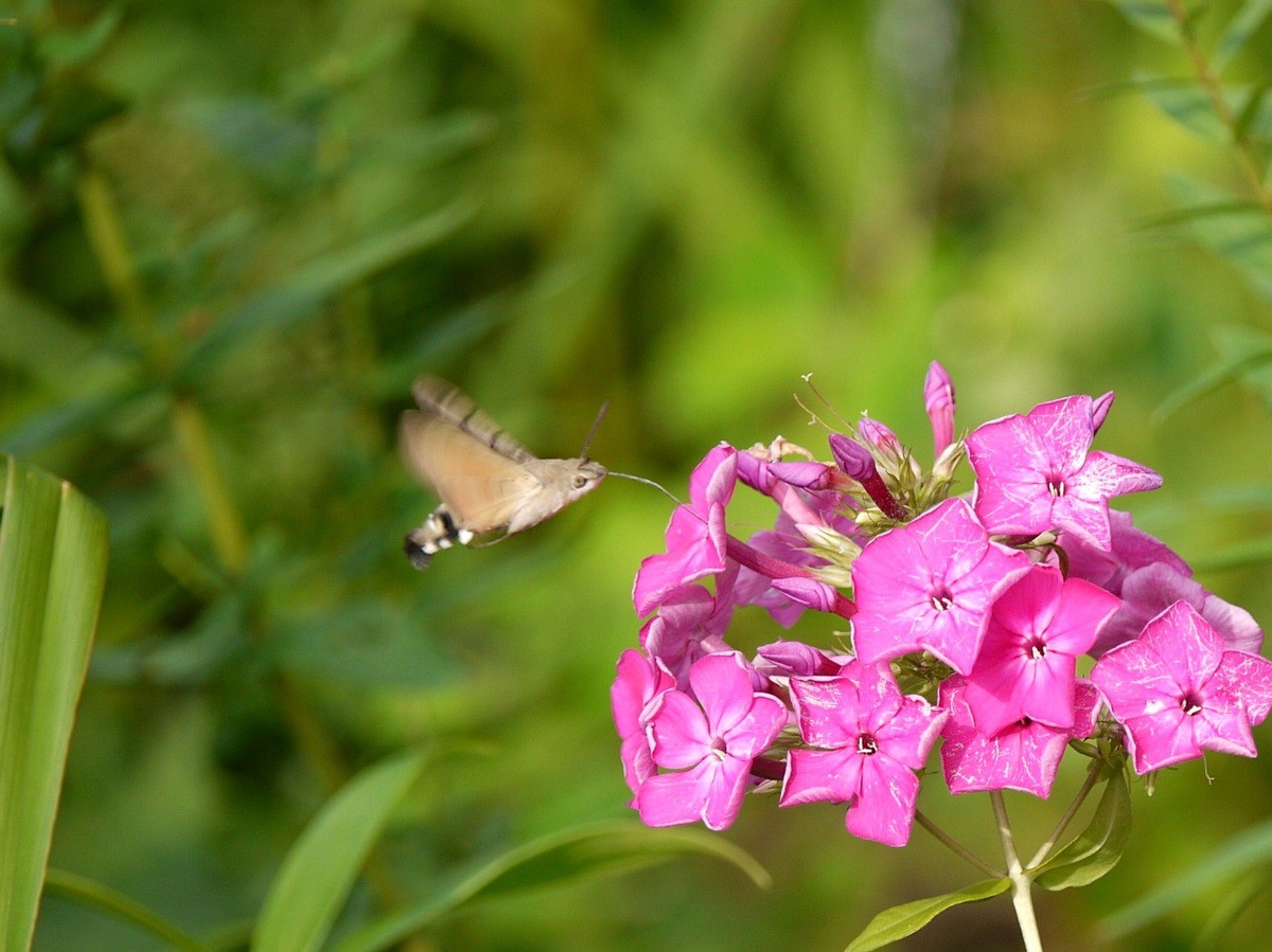 Фото: Людмила Горбунова

