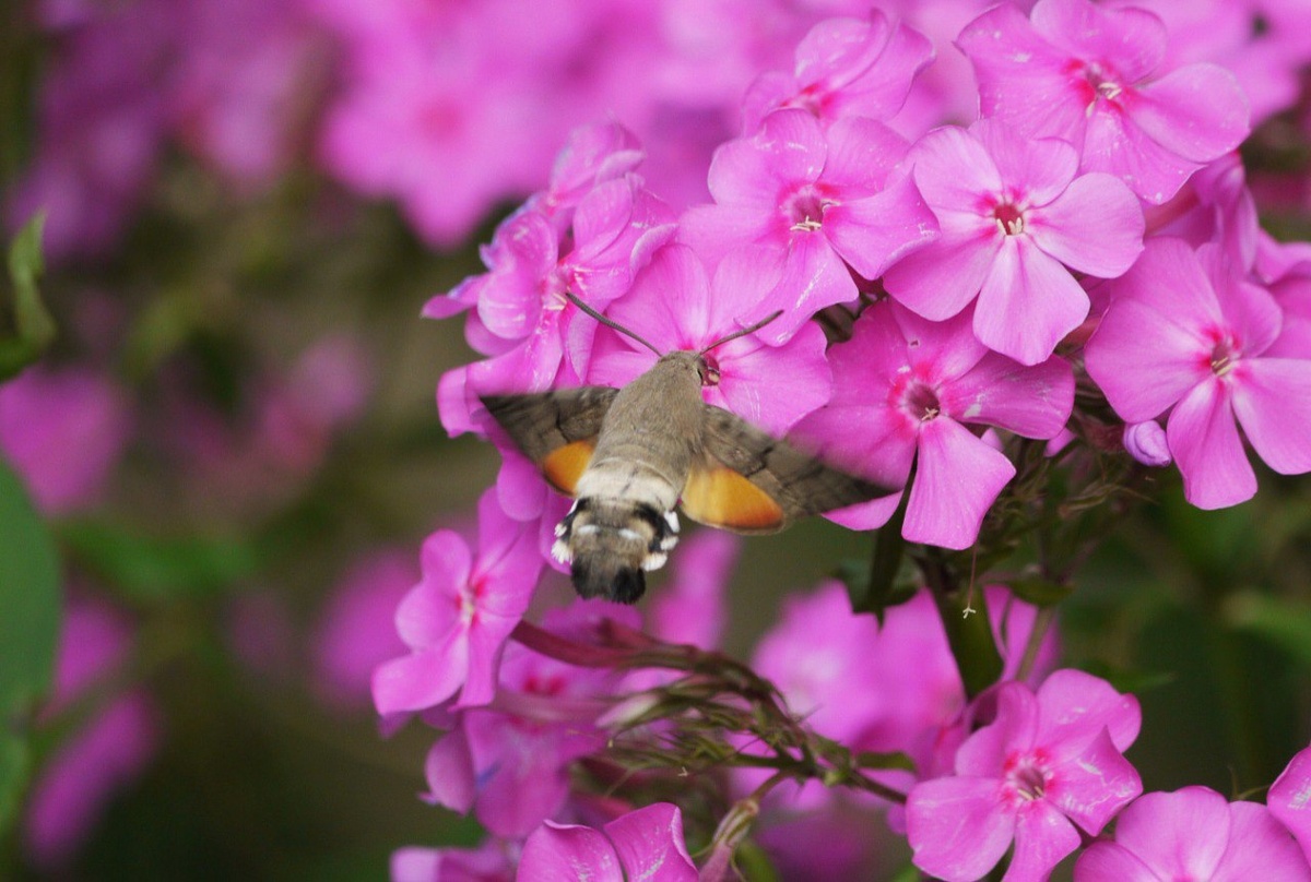 Фото: Людмила Горбунова
