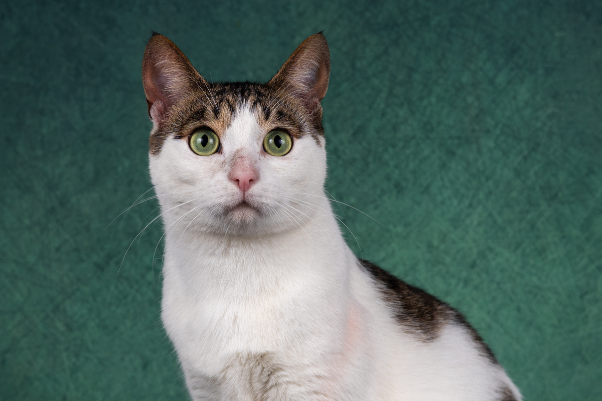 И снова здравствуйте!